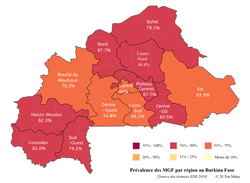 Prevalence Map: FGM in Burkina Faso (2010, French)